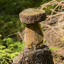 蘑菇,木,树