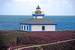 燈塔,島,海