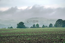 hale,山,草甸