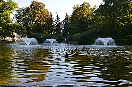 公園,池塘,噴泉