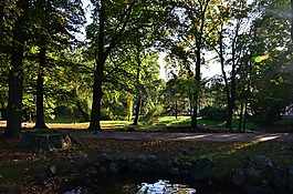 公園,太陽(yáng),下午