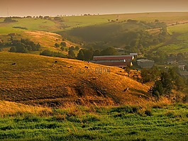 moldava,景观,夏天