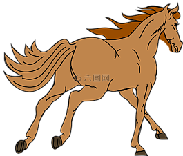 馬,小馬,比賽