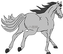 馬,小馬,比賽