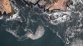 海,海洋,水