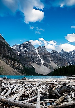 自然,景觀,山