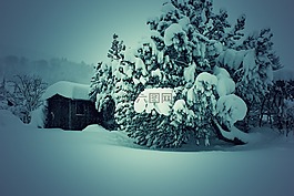 冬天,雪,瑞士