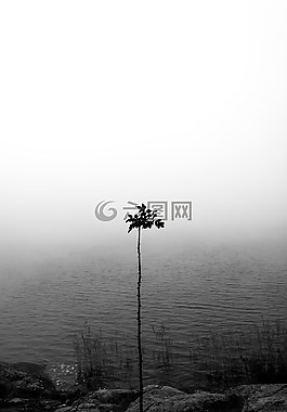 自然,水,海洋