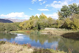 風景,天空,湖