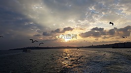 日落,海,海洋