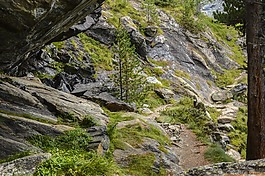 線索,徒步旅行,瑞士阿爾卑斯山