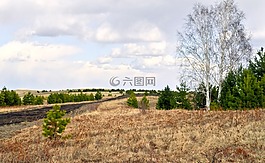 路,原野,天空