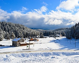 山,雪,冬季