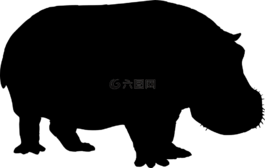河馬,動物,哺乳動物