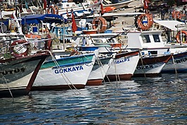 船,漁,海洋