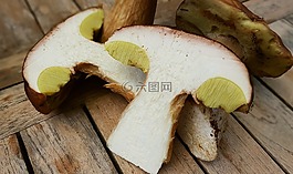蘑菇,牛肝菌,食用