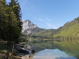 景觀,山,森林