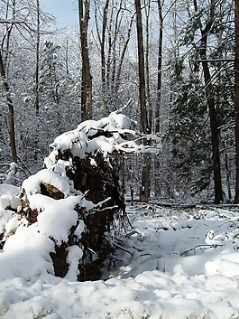 雪,降雪,冬天