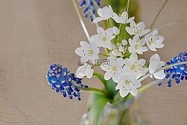 鮮花,花束,春天