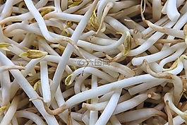 苗,綠豆幼苗,豆芽