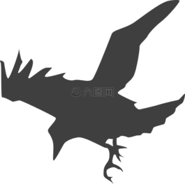 烏鴉,鳥(niǎo),黑