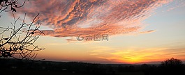 晚上,日落,標本