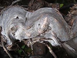 关闭,结构,木