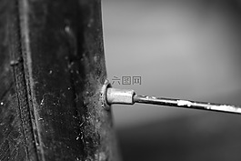自行車,車輪,循環(huán)