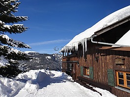 冬天,寒冬,雪