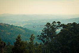 葡萄牙,森林,山