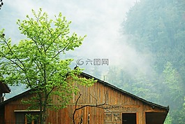 木屋,霧氣,山