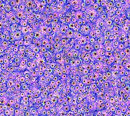 鮮花,模式,無縫