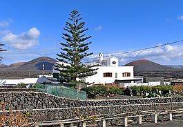 蘭薩羅特島,la 阿爾及利亞,steinig