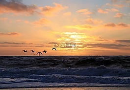 日落,水,海