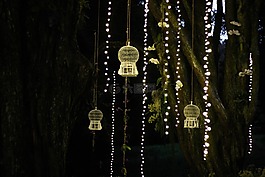 夜,燈,光