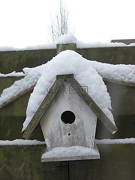 禽舍,雪,冬天