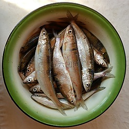 魚,食品,新鮮
