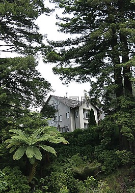花園,秘密,釀酒