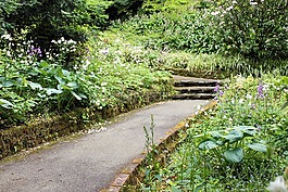 花園,秘密,釀酒