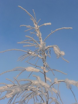 天空,霜,雪