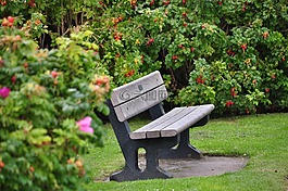 工作臺,花園,假日