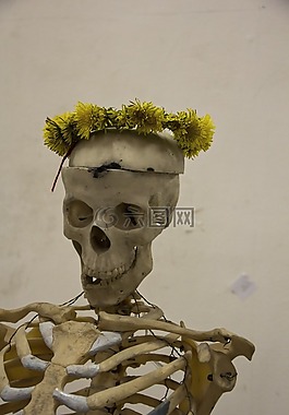 骨架,男人,頭骨