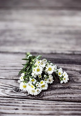 鮮花,自然,花