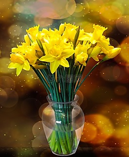 鮮花,花束,生日花束