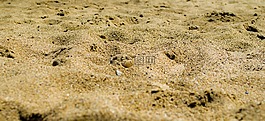 沙,海灘,熱帶
