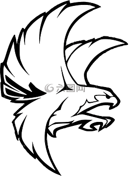 鳥,獵鷹,鷹