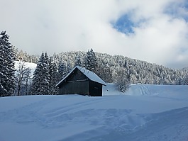 冬天,雪,首頁