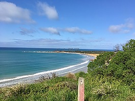 海岸,海,自然