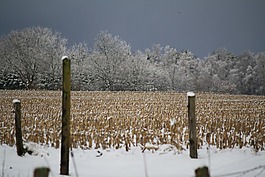 雪景,雪天空,冬天