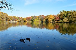中央公園,紐約,曼哈頓